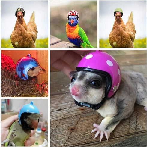 Chicken Helmet Bird Hat Safety Headgear for Small Animals, 5 Pcs Halloween Costumes
