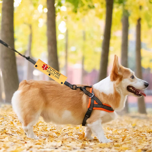 Future Service Dog Leash Sleeve - Working Dog Leash Wrap