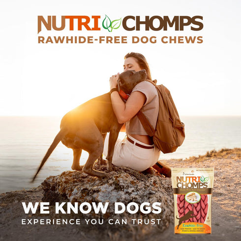 NutriChomps Dog Chews, 6-inch Braids, Rawhide-Free Dog Treats, Healthy, 4 Count, Real Chicken Flavor