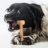 Bullibone Nylon Dog Chew Toy, Improves Dental Hygiene, Bacon Flavor, Small - 2 Pack