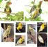 QBLEEV Bird Diaper Cockatiel Clothes Flight Suite, Reusable Parrot Nappy with Waterproof Inner Layer, Cute Pigeon Pants