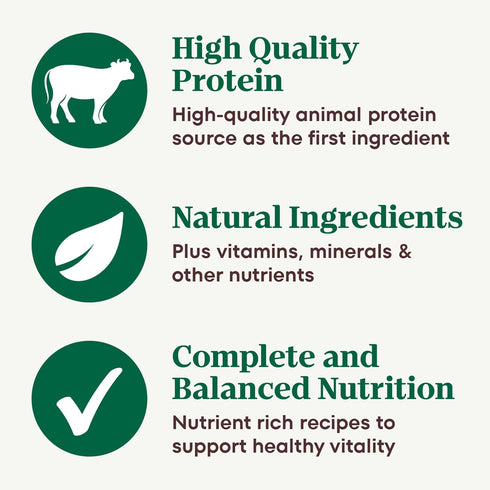 3.5 oz. (24 Count, Pack 1) Nutro Adult Natural Grain Free Wet Dog Food Pate, Adult Dog Food Wet Recipe, Tender Beef