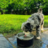 Coldest Dog Bowl, Heavy Duty Anti Rust Metal & Non Slip, 21 oz Insulated Dog Bowl for Food & Water, Dishwasher Safe