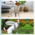 ROZKITCH Dog Surgery Recovery Sleeve - Front Leg Elbow Brace Protector, Cone Collar Alternative for Joint Care (Grey S)