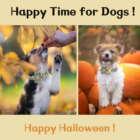Unique style paws Halloween Dog Collar with Flower Tie - Adjustable Pumpkin Cotton Collar for Small Medium Large Dogs