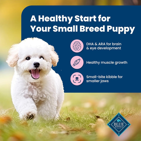 Blue Buffalo Life Protection Formula Small Breed Puppy Dry Dog Food, Chicken & Oatmeal Recipe, 15 lb Bag