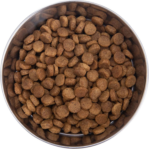 Health Extension Weight Control Dry Dog Food, Natural Lite Chicken & Brown Rice Recipe for Overweight Adult Dogs (1 lbs