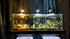 LED Aquarium Light for Freshwater Fish Tank - Vivarium Terrarium Spotlight with 3 Colors 3000K, 4000K, 6000K for