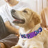 Dog Collar with Purple Flowers Patterns - Cute Adjustable Soft Durable Pet Collar for XS Small Medium Large Dogs