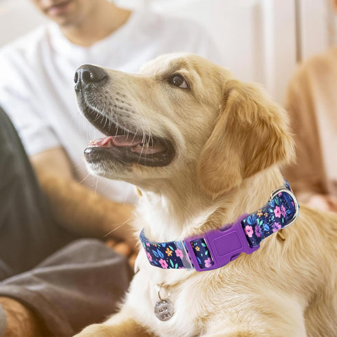 Dog Collar with Purple Flowers Patterns, Adjustable Soft Durable for XS Small Medium Large Dogs (Purple Flowers, XS)