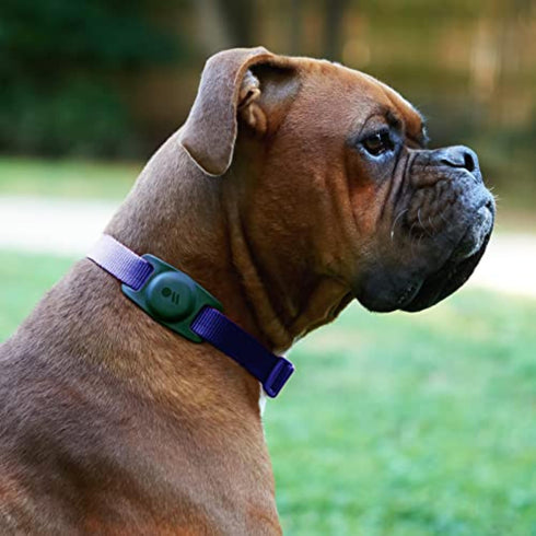 Case-Mate Airtag Dog Collar Holder, Water Resistant Lightweight Protective Airtag Case for Dog Collar - Compatible with