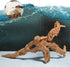 Aquarium Driftwood Natural Decoration, Tree Trunk with Rockery View, Random Shape 5-10cm