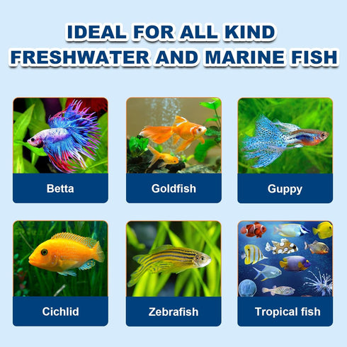 '-100% (4oz) Freeze Dried Brine Shrimp Cubes Pure High Protein Fish Food for Tropical, Marine & Freshwater Fish, Aquatic