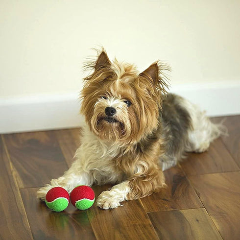Midlee 1.5" Mini Squeaker Christmas Dog Tennis Balls - Red/Green Pack of 12