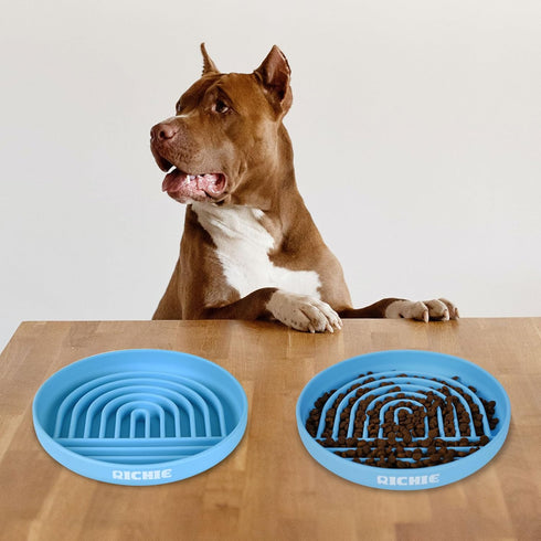 RICHIE Slow Feed Dog Bowl, Anti-Gulping, Durable Silicone, Safe for Small to Large Breeds, Blue