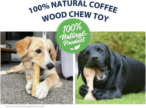 Coffee Wood Dog Chew Stick - Non-Toxic Puppy Chew Toy for Teething, Safe, Made in Vietnam - 1 Pack/2 Pieces (Medium)