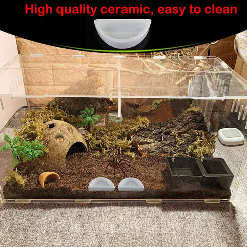 6 Pcs Spider Micro Water Bowl Hermit Crab Mini Ceramic Dish for Spider Hermit Crab Tarantula Millipede (Semicircle Shape)