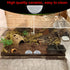 6 Pcs Spider Micro Water Bowl Hermit Crab Mini Ceramic Dish for Spider Hermit Crab Tarantula Millipede (Semicircle Shape)