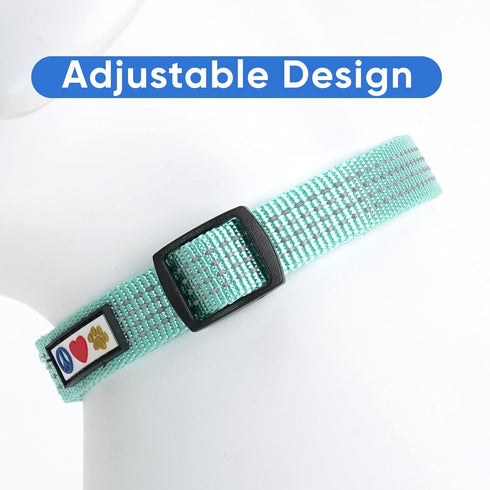 Pawtitas Reflective Dog Collar - Adjustable for Small Dogs, Puppy Collar - Teal