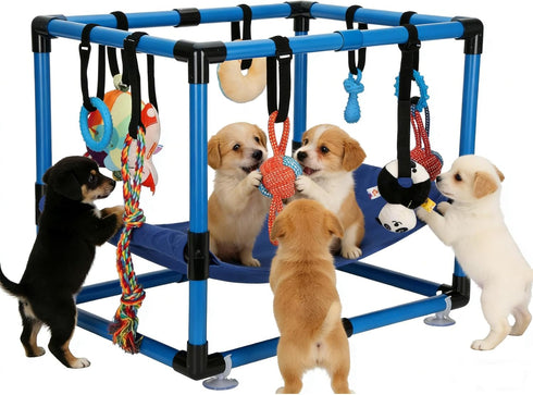 Bullro Blue Puppy Play Gym with 8 Hanging Toys, Dog Jungle Gym Indoor