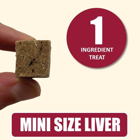 Whole Life Pet Mini Ones - Beef Liver Treats for Small Dogs or Training Treats for Any Size Dog, Human Grade, One Ingredient, Made in The USA