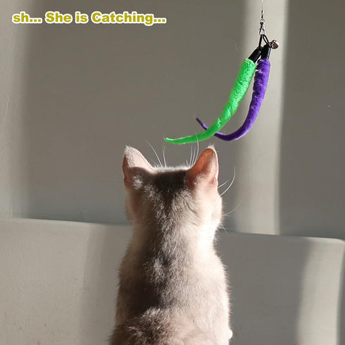 Interactive Cat Toys - Retractable Wand Toy and Feather Toys Refills for Indoor Cats