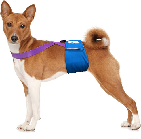 Paw Inspired Adjustable Dog Diaper Suspenders with Velcro Fasteners for Male and Female Pets, Fits Small to Large (S/M,
