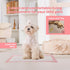 Red Rabbits 100Count 18" 13" Pet Toilet Training Pads Disposable Puppy Pee Pads x for Dogs, Ultra Absorbent|Quick