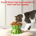 Hamiledyi 5In Elevated Wide Ceramic Cat Bowl for Food and Water, Anti Vomiting Tilted Pet Feeder Dish (Watermelon)