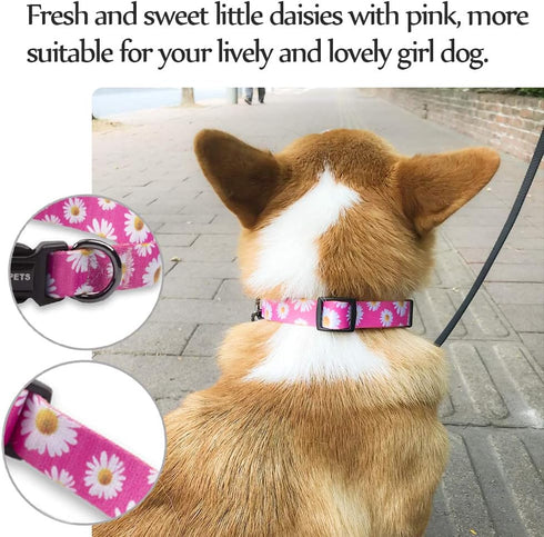 QQPETS Adjustable Soft Dog Collar - Print Flower Pink Multicolor Patterns for XS to Large Pets