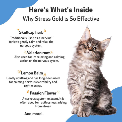 Pet Wellbeing Stress Gold for Cats - Supports Relaxation, Travel, Vet Trips, 2 oz (59 ml) Herbal Supplement