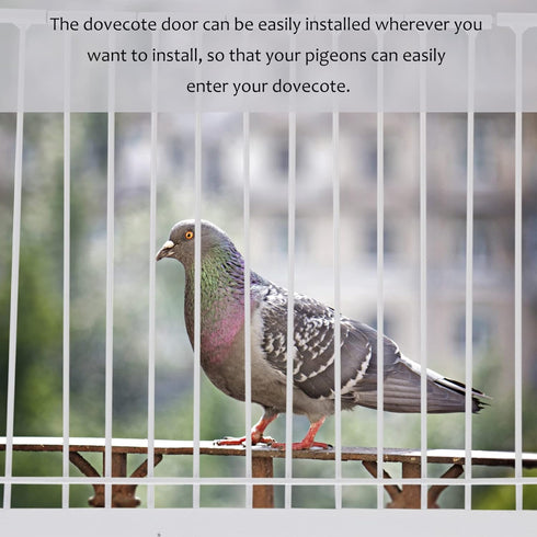 1Pc Pigeon Door, Iron Birdcage T-House Door, Bird Entrance Door for Pet Bird Supplies, 30x26cm