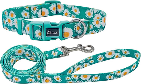 Dog Collar and Leash Set, Cute Daisy Pattern, 5ft Leash for Puppy Dogs, Extra Small, Green
