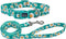 Dog Collar and Leash Set, Cute Daisy Pattern, 5ft Leash for Puppy Dogs, Extra Small, Green