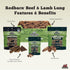 Pack 2 Redbarn Beef Lung Choppers Dog Chew, All-Natural high-Protein Low-Fat Grain-Free, Highly Palatable Treats