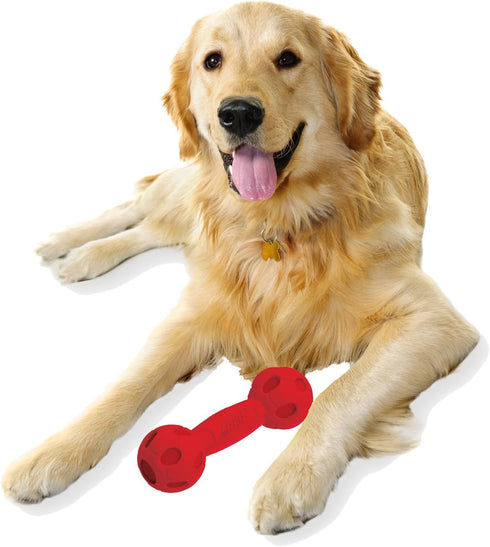 Nerf Dog 7in Bash Squeak Barbell Dog Toy - Red