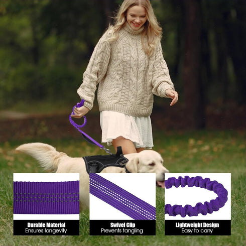BUMBIN 6Ft Dog Leash for Large Dogs, Bungee Leash with 2 Handles, Heavy Duty for Medium Small Dogs, No Pull, Purple