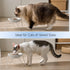 2-Pack Ceramic Raised Cat Bowls for Food and Water, Elevated Pet Dishes Bowls with Stand, Cats and Small Dogs, Dishwasher Safe