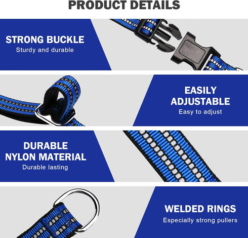 Martingale Collar for Dogs, Reflective Nylon with Quick Release Buckle, Adjustable No Slip Training Collar (Small, Blue)