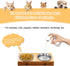 5 PCS Cat Bowls Whisker Friendly, Shallow Wide Flat Stainless Steel Dishes, Dishwasher Safe