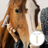 iplusmile Dematting Brush Rake - Gentle Grooming Brush with Wood Handle for Horses, Dogs, and Shedding Grooming