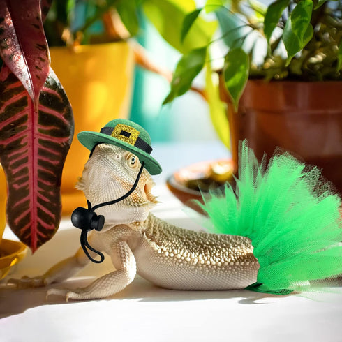 Vehomy 4Pcs Saint Patrick's Day Bearded Dragon Hats Tutu Skirt Outfit with Shamrock Décor for Small Pets