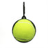 Dog Toy Ball Holder - Hands-Free Leash Attachment for All Breeds, Fits Standard Tennis Balls (Black)