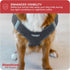 Downtown Pet Supply No Pull Step in Dog Harness, X-Large Charcoal - Adjustable Padded Mesh Fabric with Reflective Trim