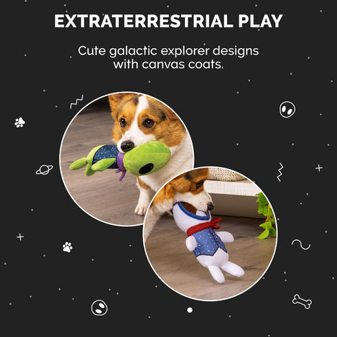 Furhaven 2-Pack Squeaky Plush Dog Toys for Small/Medium Dogs, Washable with Ruff Stuff Reinforcement