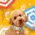 Summer Summer Dog Collar, Colorful Icecream Cotton Dog Collar with Quick Release, Collars for Small Medium Large Boys