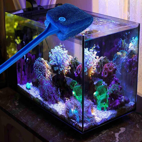 3 PCS Double-Sided AOODOOM Aquarium Fish Tank Algae Cleaning Brush - Non-Slip Handle Sponge Scrubber