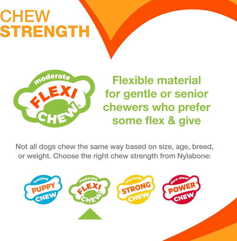 Nylabone Gumabone Textured Dental Bone Flexi Chew Toy for Dogs, Chicken Flavor, Small - Up to 25 lbs