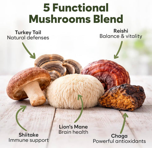 5-in-1 Immune Premium Mushroom Chews for Dogs - Turkey Tail, Lions Mane, Chaga, Reishi & Shiitake - Support & Cognitive