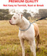 Adjustable Dog Collar Slip Metal Chewproof P Collar, Heavy Chain Training Choke Collar for Small Medium Large Dogs